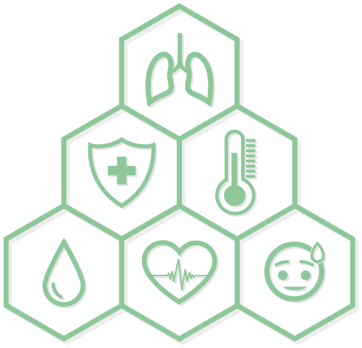 health and wellness icon